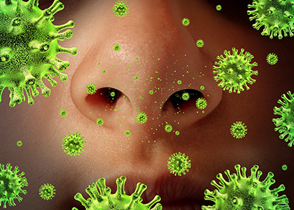 bakterie-wirus.jpg